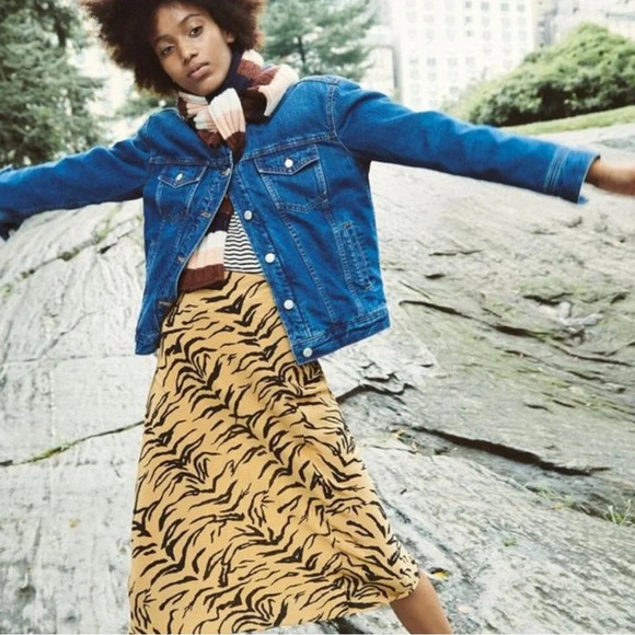 Madewell Silk Tiger Stripes Midi Skirt 14 - Picture 2 of 7